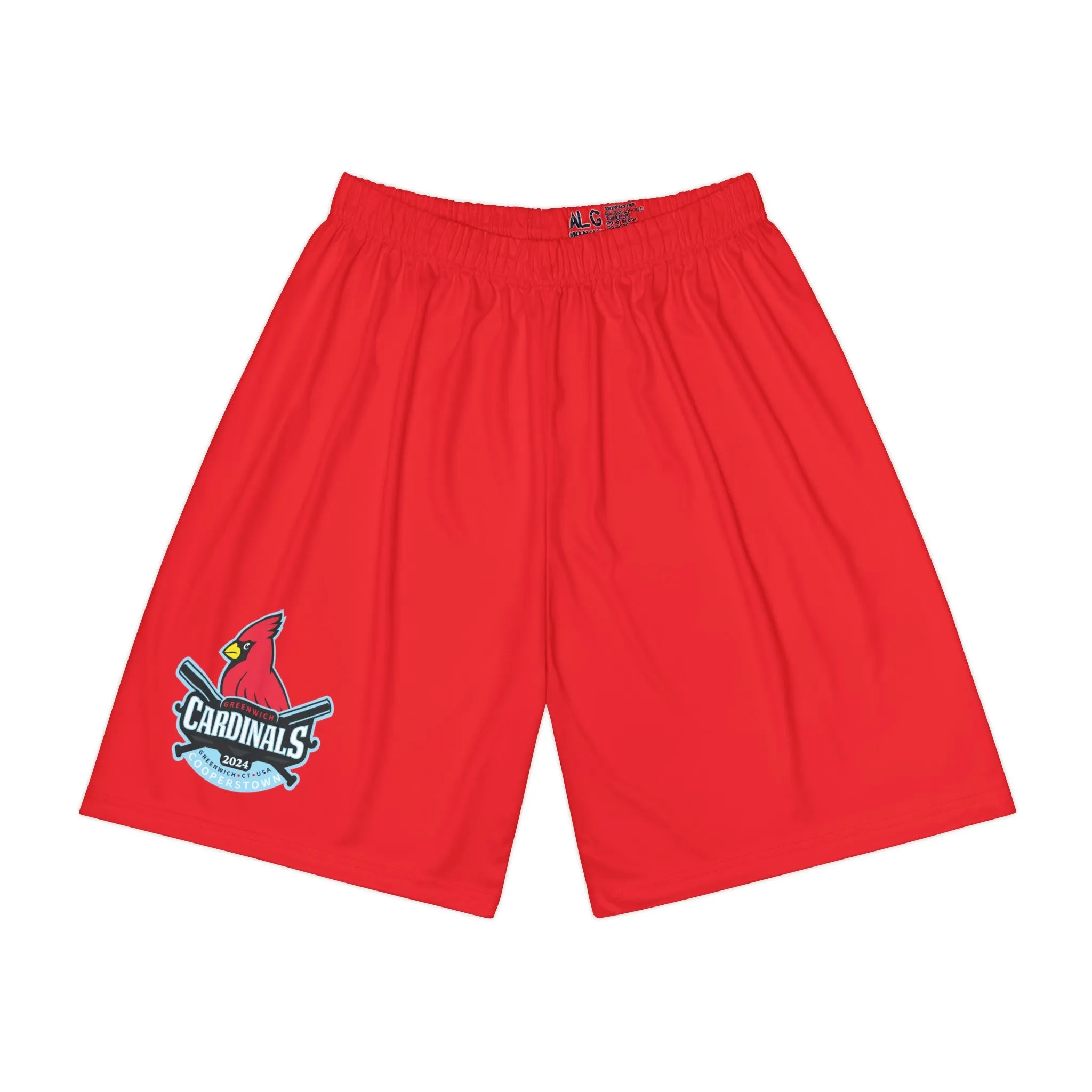 Men’s Sports Shorts (AOP)